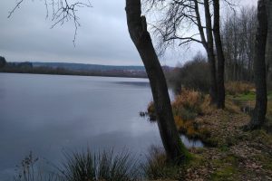 Velký knížecí rybník - Velká Hleďsebe